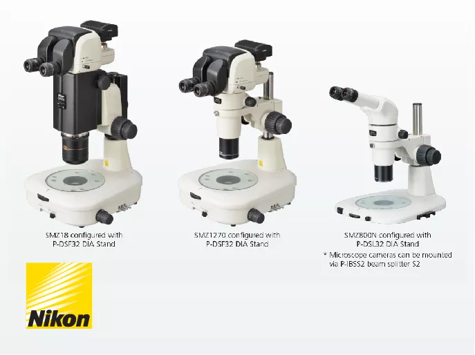 Nikon Stereo Microscopes for ICSI station
